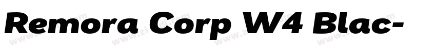 Remora Corp W4 Blac字体转换